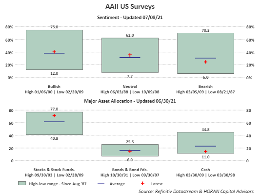 AAII Asset Allocation Survey June 2021