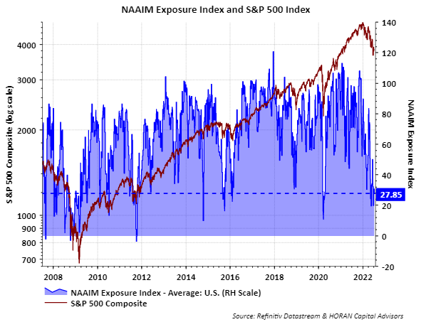 NAAIM Exposure Index, July 6,2022