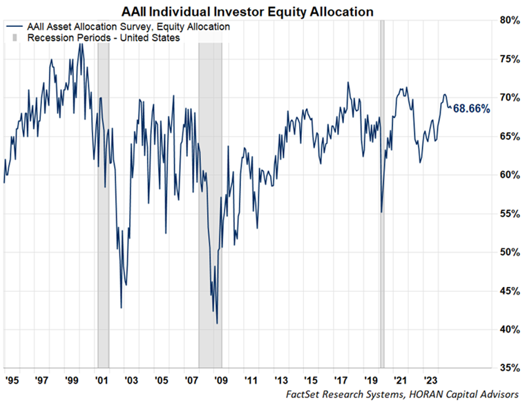 AAII equity Allocation from November 2024 survey