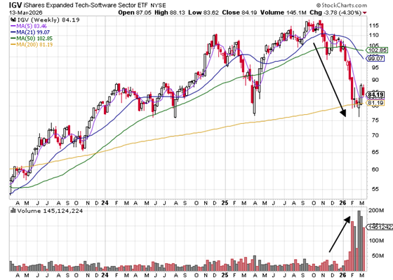 iShares Expanded Tech-Software ETF with ticker IGV