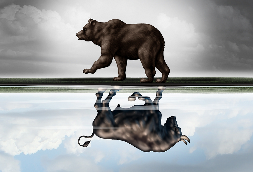 bull bear mirror