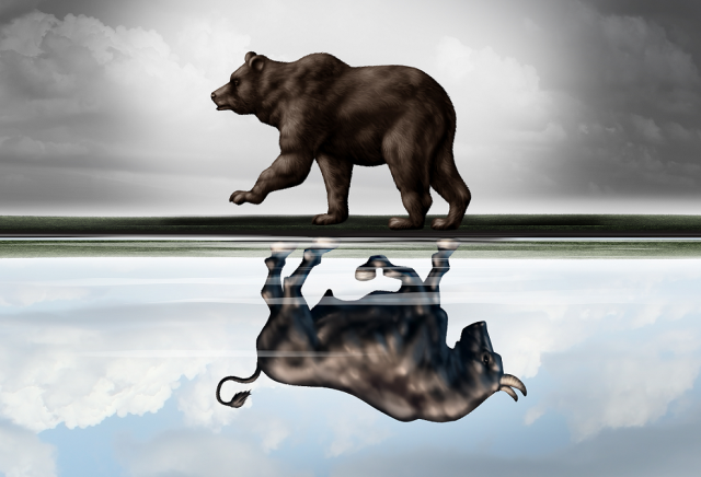 bull bear mirror
